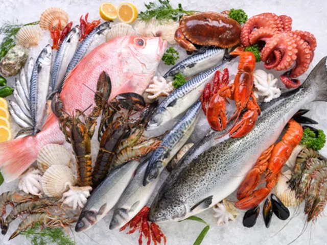 Seafood — Blue Box Cold Chain