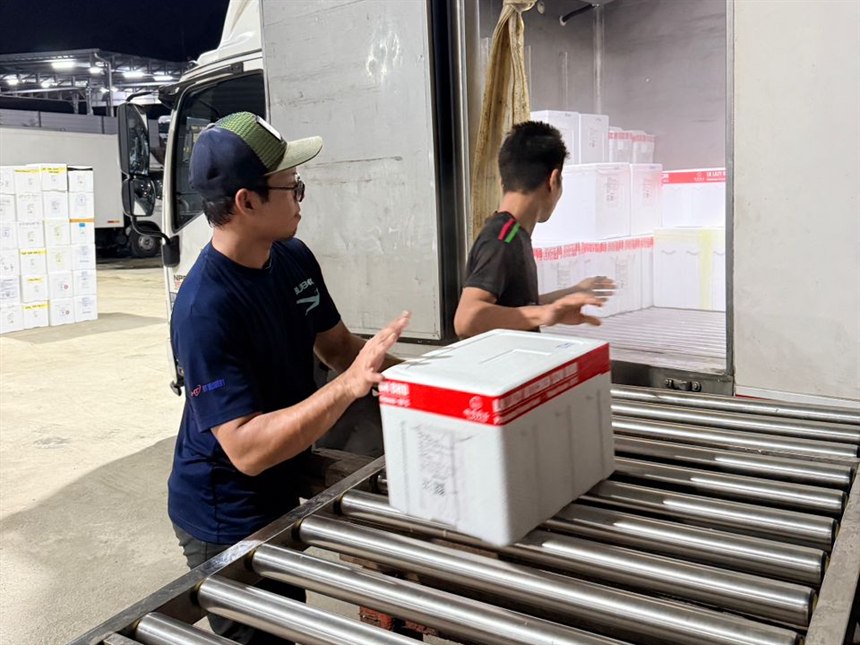 Express Delivery — Blue Box Cold Chain